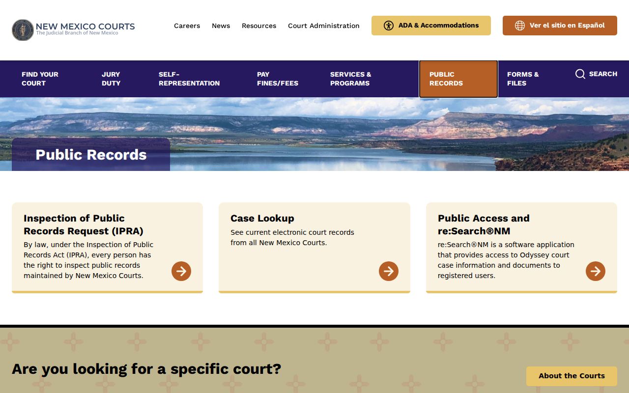 McKinley County court case record request through New Mexico Courts